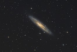 NGC253