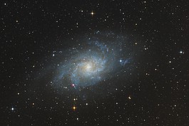M33