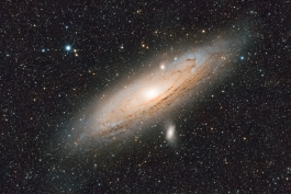 M31