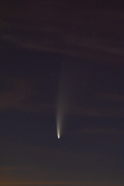 Neowise
